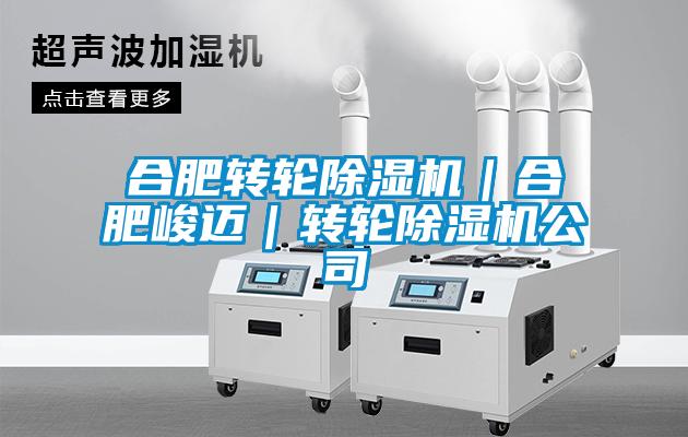 合肥轉輪91看片在线下载機｜合肥峻邁｜轉輪91看片在线下载機公司