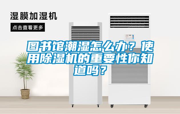 圖書館潮濕怎麽辦？使用91看片在线下载機的重要性你知道嗎？
