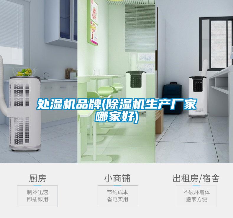 處濕機品牌(91看片在线下载機生產廠家哪家好)