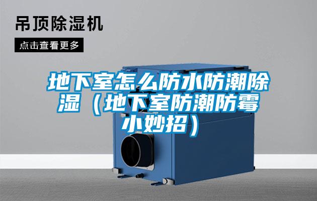 地下室怎麽防水防潮91看片在线下载（地下室防潮防黴小妙招）
