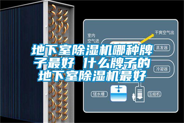 地下室91看片在线下载機哪種牌子最好 什麽牌子的地下室91看片在线下载機最好