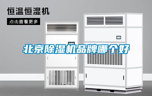 北京91看片在线下载機品牌哪個好