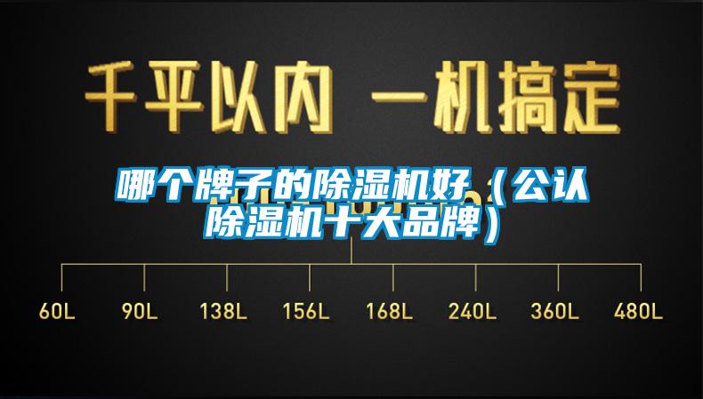 哪個牌子的91看片在线下载機好（公認91看片在线下载機十大品牌）