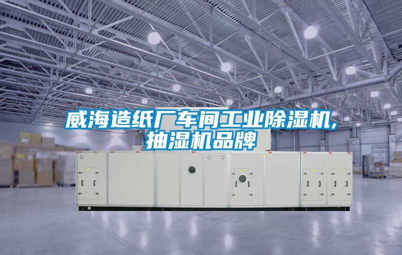威海造紙廠車間工業91看片在线下载機,抽濕機品牌