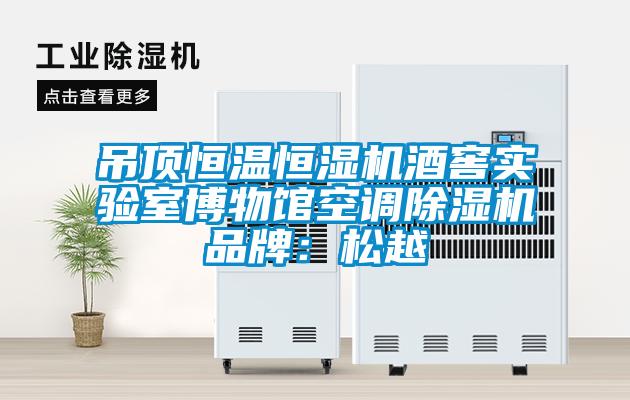 吊頂恒溫恒濕機酒窖實驗室博物館空調91看片在线下载機品牌：鬆越