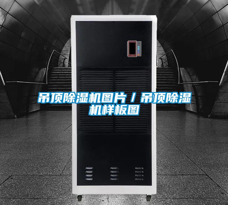 吊頂91看片在线下载機圖片／吊頂91看片在线下载機樣板圖