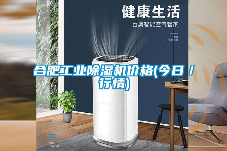 合肥工業91看片在线下载機價格(今日／行情)