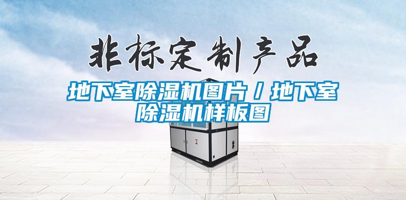 地下室91看片在线下载機圖片／地下室91看片在线下载機樣板圖