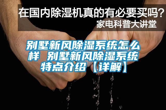 別墅新風91看片在线下载係統怎麽樣 別墅新風91看片在线下载係統特點介紹【詳解】
