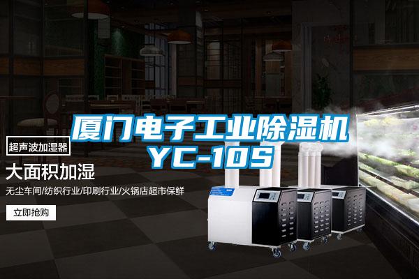 廈門電子工業91看片在线下载機YC-10S