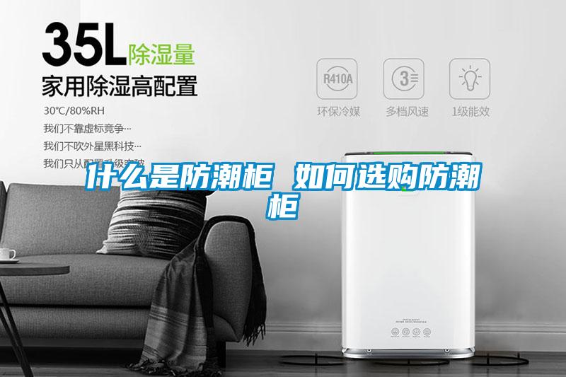 什麽是防潮櫃 如何選購防潮櫃