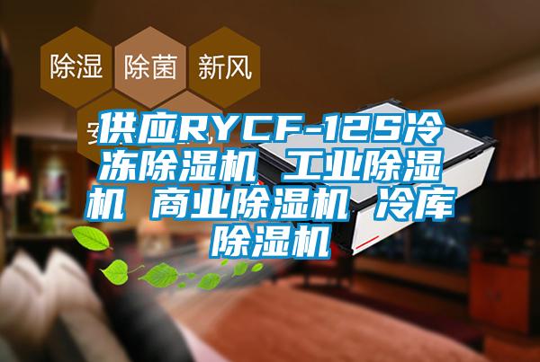 供應RYCF-12S冷凍91看片在线下载機 工業91看片在线下载機 商業91看片在线下载機 冷庫91看片在线下载機