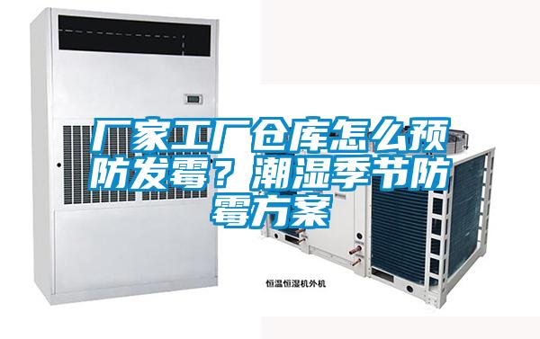 廠家工廠倉庫怎麽預防發黴？潮濕季節防黴免费看片下载