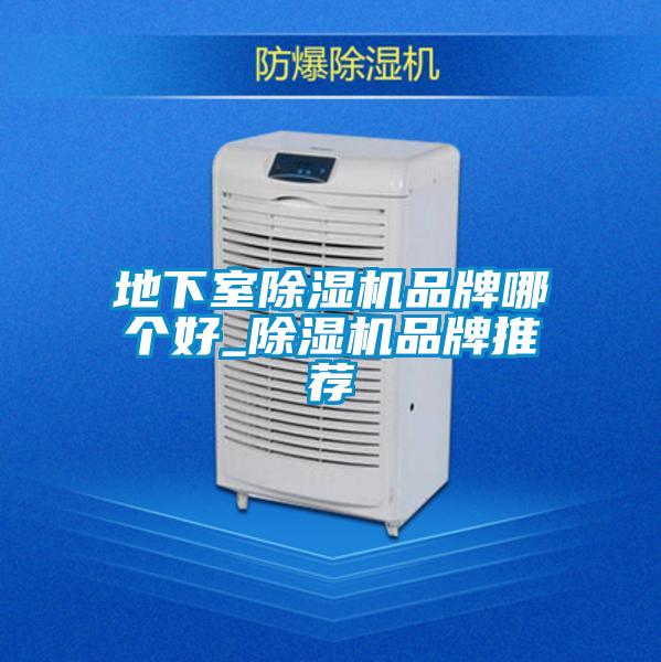 地下室91看片在线下载機品牌哪個好_91看片在线下载機品牌推薦