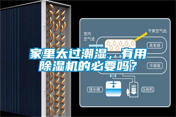 家裏太過潮濕，有用91看片在线下载機的必要嗎？