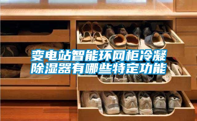變電站智能環網櫃冷凝91看片在线下载器有哪些特定功能