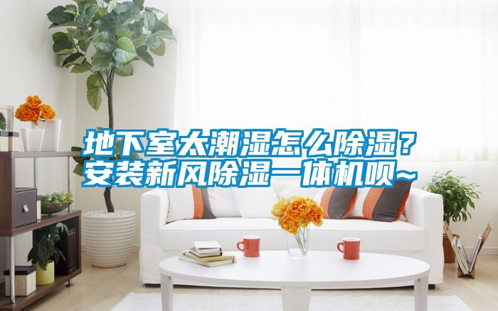 地下室太潮濕怎麽91看片在线下载？安裝新風91看片在线下载一體機唄~
