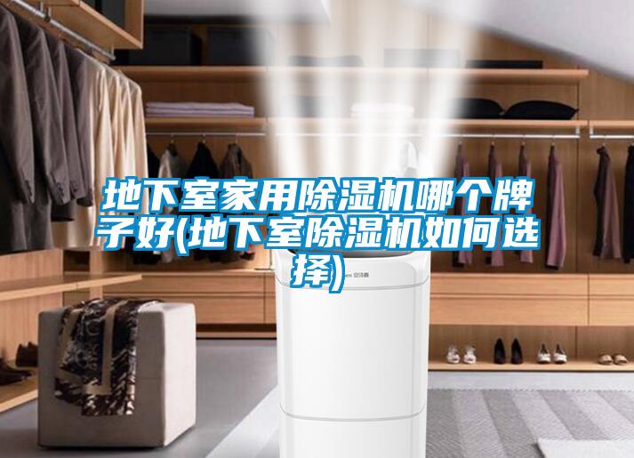 地下室家用91看片在线下载機哪個牌子好(地下室91看片在线下载機如何選擇)