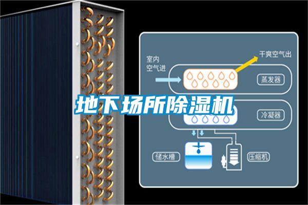 地下場所91看片在线下载機