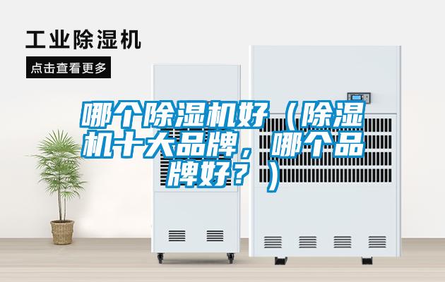 哪個91看片在线下载機好（91看片在线下载機十大品牌，哪個品牌好？）