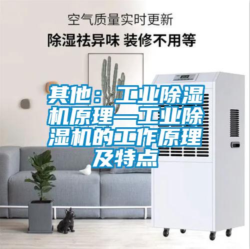 其他：工業91看片在线下载機原理—工業91看片在线下载機的工作原理及特點