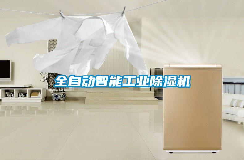 全自動智能工業91看片在线下载機
