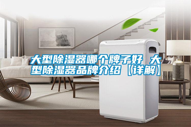大型91看片在线下载器哪個牌子好 大型91看片在线下载器品牌介紹【詳解】