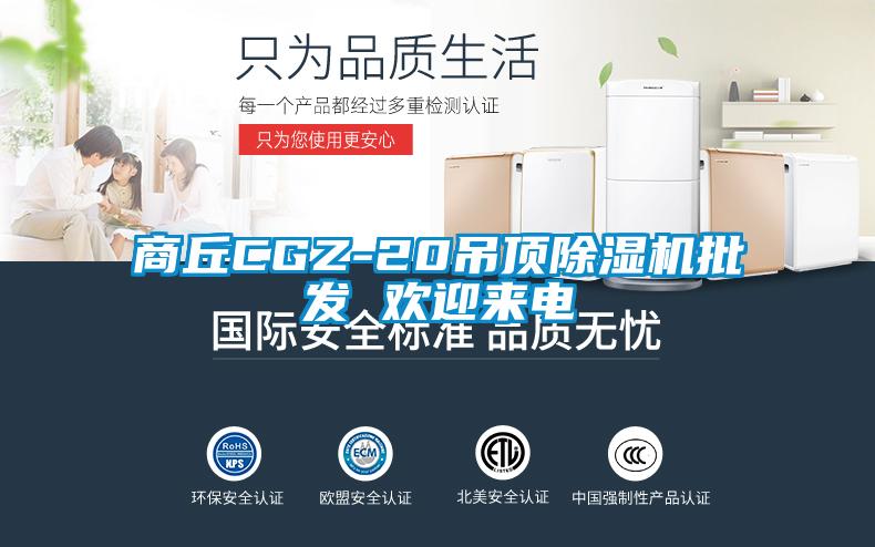 商丘CGZ-20吊頂91看片在线下载機批發 歡迎來電