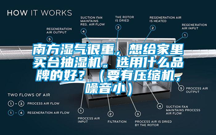 南方濕氣很重，想給家裏買台抽濕機。選用什麽品牌的好？（要有壓縮機，噪音小）