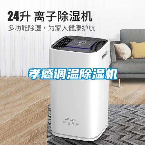 孝感調溫91看片在线下载機