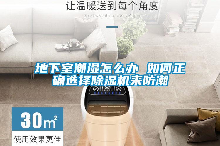 地下室潮濕怎麽辦 如何正確選擇91看片在线下载機來防潮