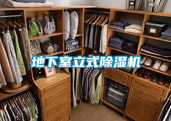 地下室立式91看片在线下载機