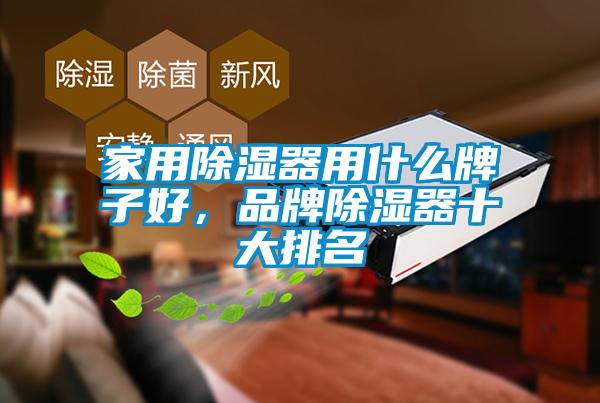 家用91看片在线下载器用什麽牌子好，品牌91看片在线下载器十大排名