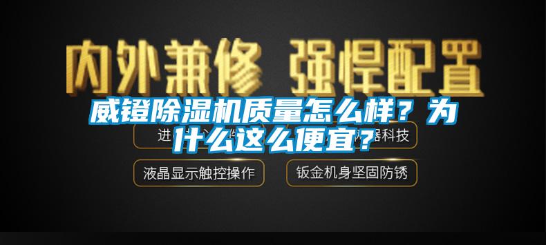 威鐙91看片在线下载機質量怎麽樣？為什麽這麽便宜？