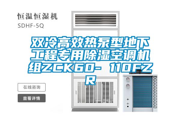 雙冷高效熱泵型地下工程專用91看片在线下载空調機組ZCK60- 110FZR