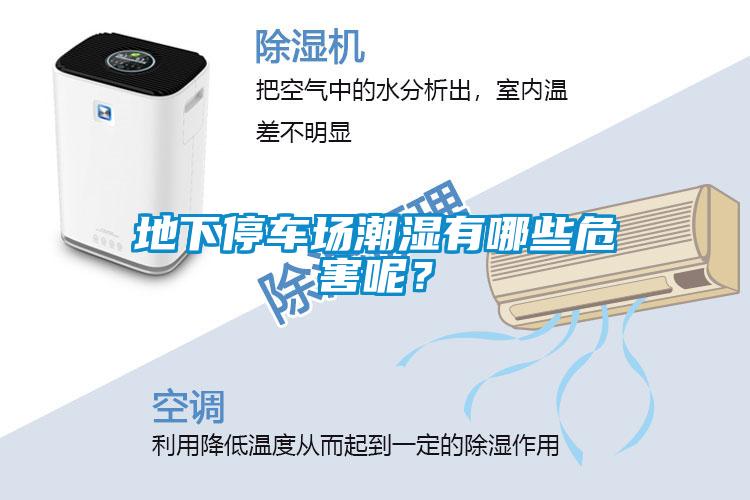 地下停車場潮濕有哪些危害呢？