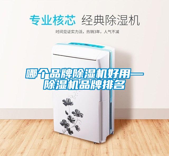 哪個品牌91看片在线下载機好用—91看片在线下载機品牌排名