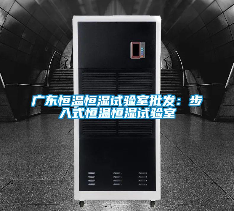 廣東恒溫恒濕試驗室批發：步入式恒溫恒濕試驗室
