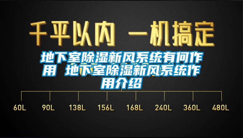 地下室91看片在线下载新風係統有何作用 地下室91看片在线下载新風係統作用介紹