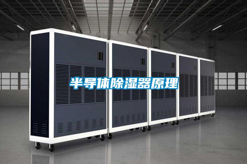 半導體91看片在线下载器原理