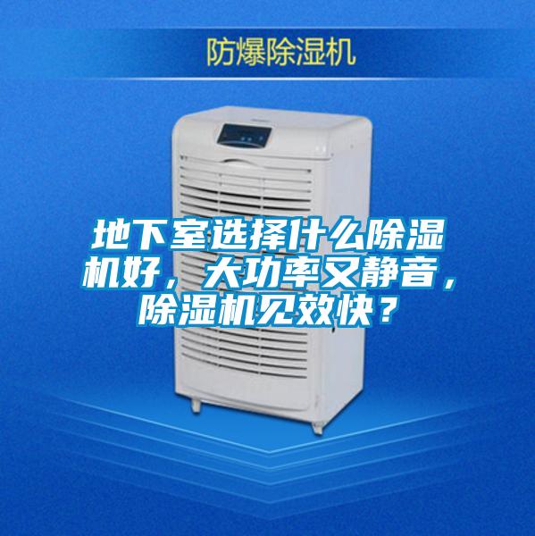 地下室選擇什麽91看片在线下载機好，大功率又靜音，91看片在线下载機見效快？