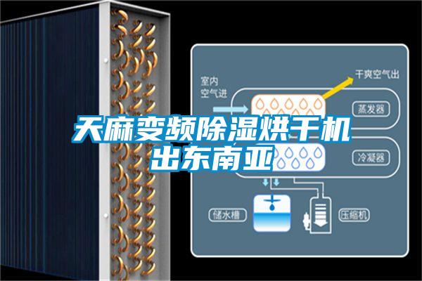 天麻變頻91看片在线下载烘幹機出東南亞