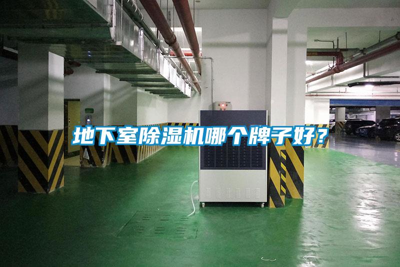 地下室91看片在线下载機哪個牌子好？