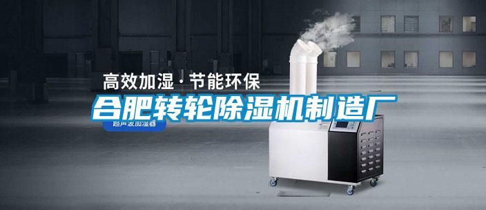 合肥轉輪91看片在线下载機製造廠