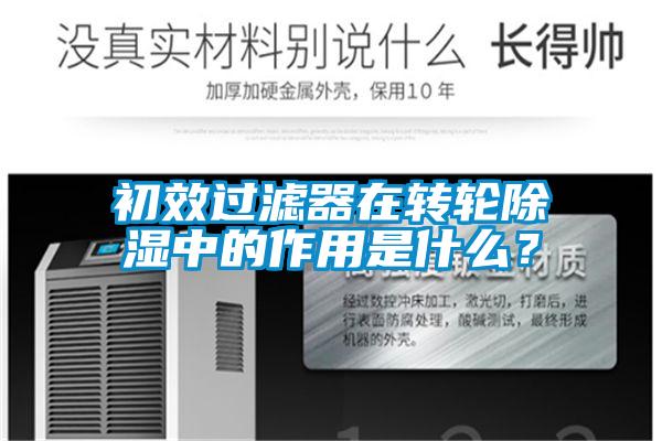 初效過濾器在轉輪91看片在线下载中的作用是什麽？