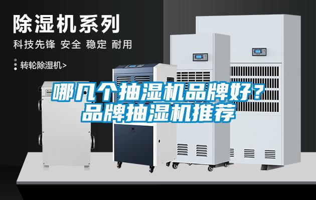 哪幾個抽濕機品牌好？品牌抽濕機推薦