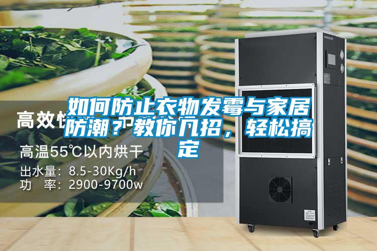 如何防止衣物發黴與家居防潮？教你幾招，輕鬆搞定