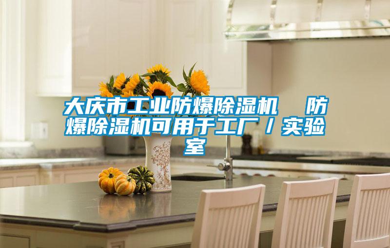 大慶市工業防爆91看片在线下载機  防爆91看片在线下载機可用於工廠／實驗室