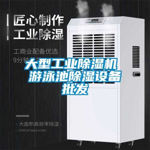 大型工業91看片在线下载機 遊泳池91看片在线下载設備批發