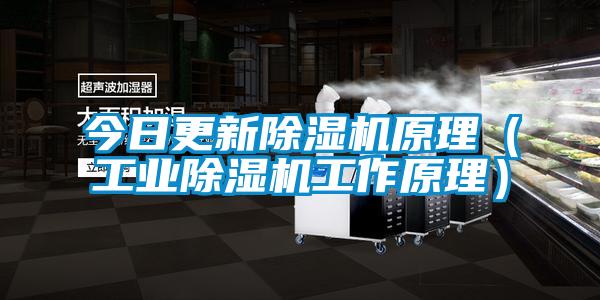 今日更新91看片在线下载機原理（工業91看片在线下载機工作原理）